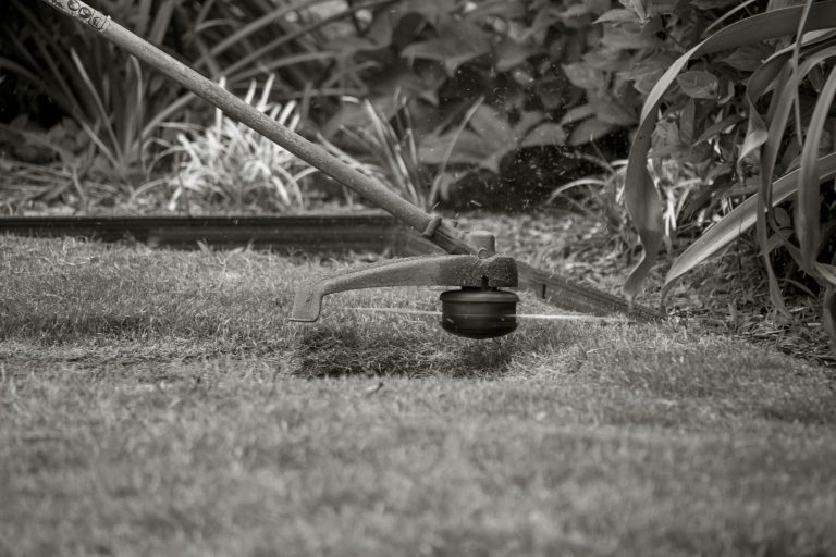 Close-up of a grass trimmer cutting the lawn with foliage background.