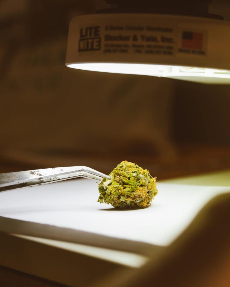 Detailed image of a cannabis bud under a lamp, highlighting trichomes and texture.
